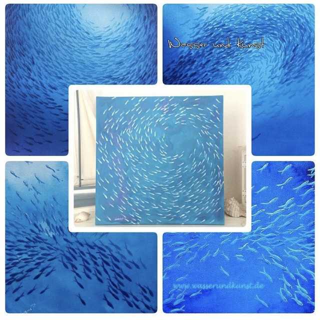 Collage Fischschwarmbilder
